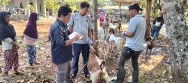 Monitoring dan Evaluasi Hewan Ternak KUBE di Semin: Upaya Meningkatkan Kesehatan Ternak dan Ekonomi 